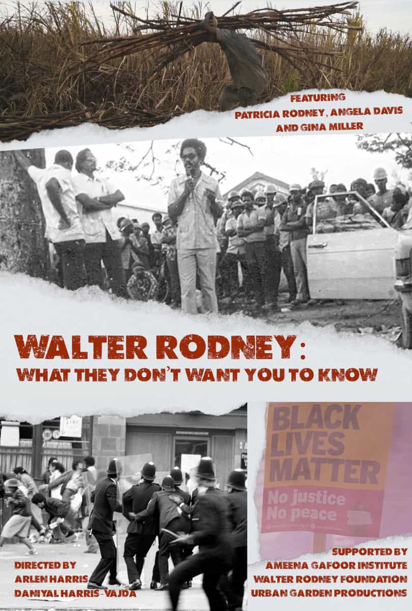 walter rodney poster