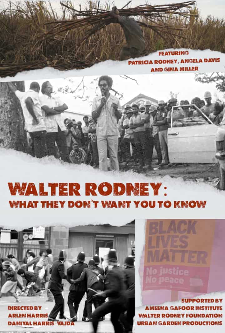 walter rodney poster